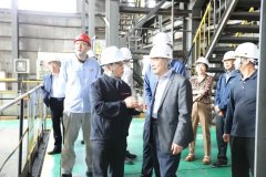 或正在国内研究名高手艺公司（华为、阿里、百
